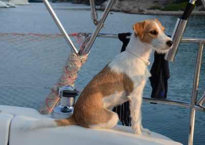 2015 SommerSegelnNikon 132